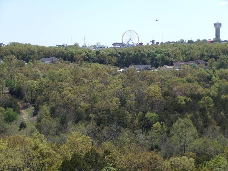 The Vista Apartment Branson Bagian luar foto