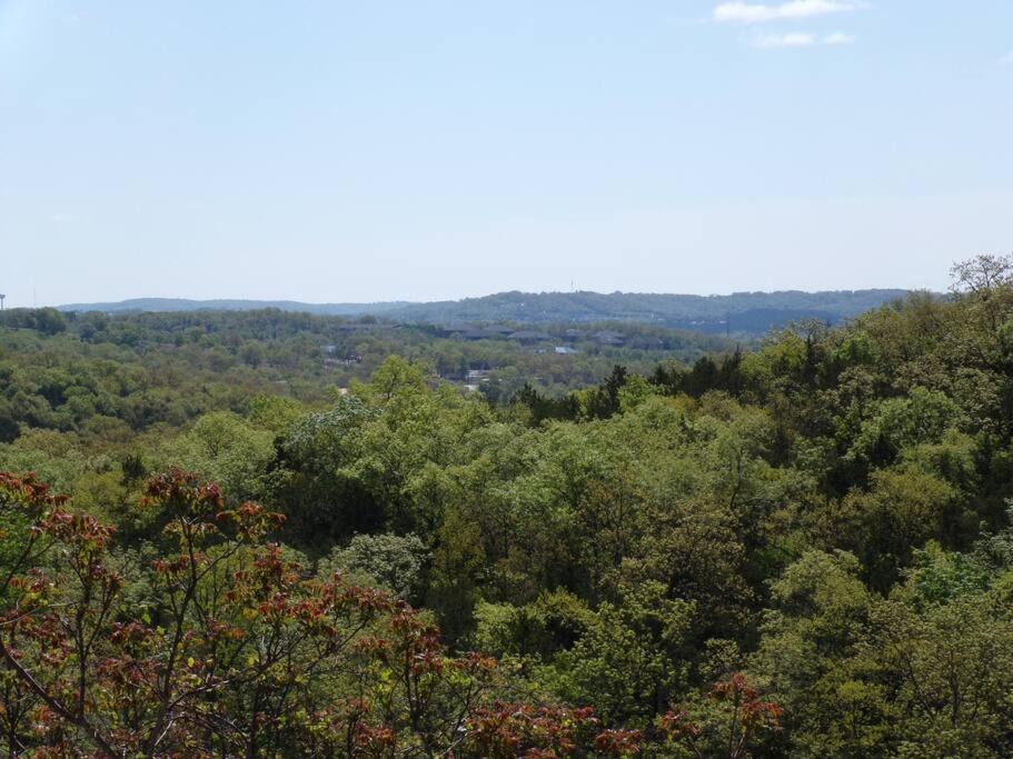 The Vista Apartment Branson Bagian luar foto
