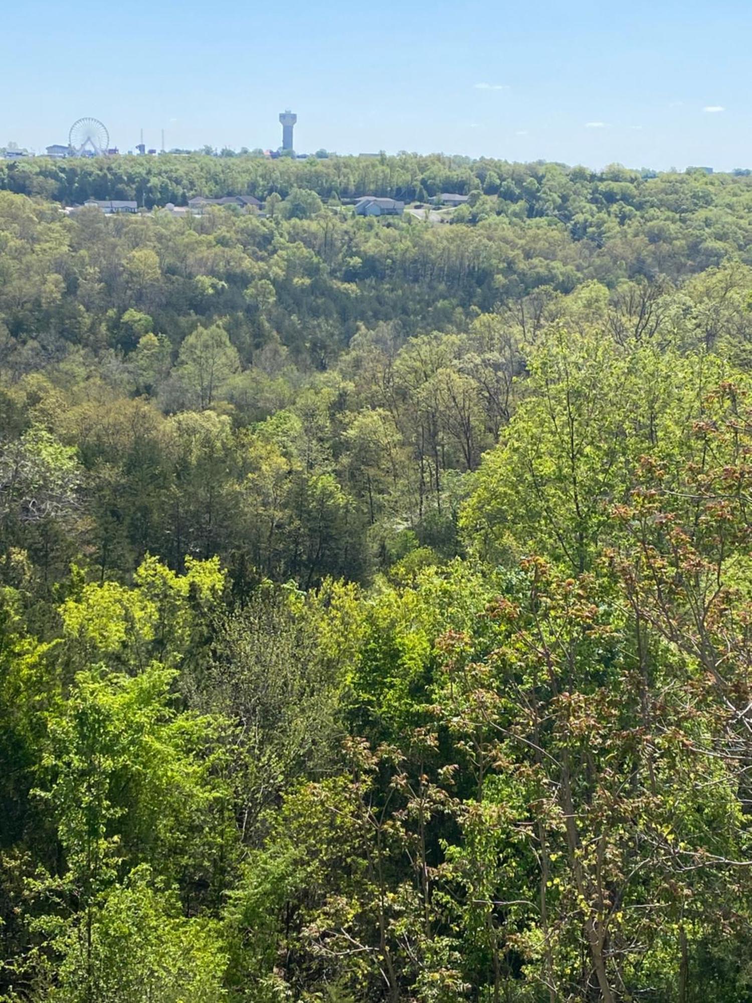 The Vista Apartment Branson Bagian luar foto